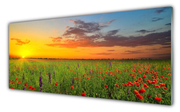Tablou pe sticla Soare Meadow Flori Natura Galben Verde Roșu Violet