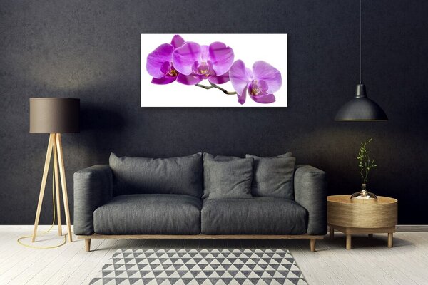 Tablou pe sticla Flori roz Floral