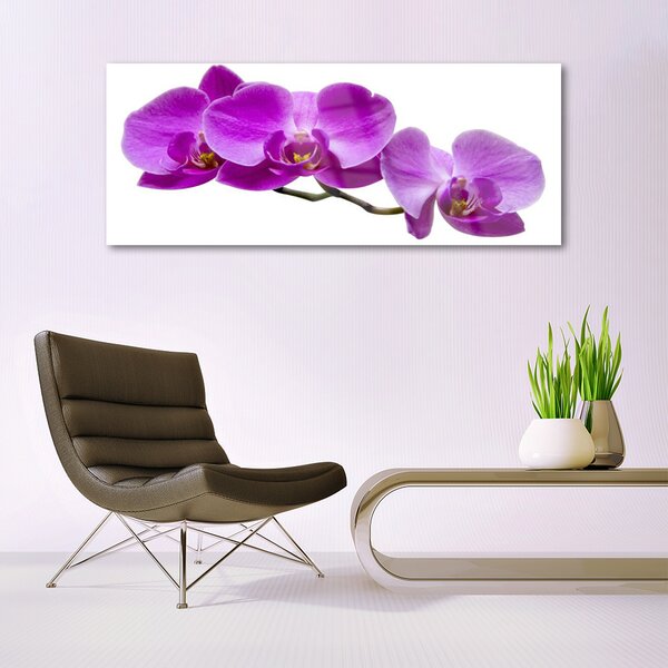 Tablou pe sticla Flori roz Floral