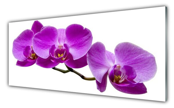 Tablou pe sticla Flori roz Floral