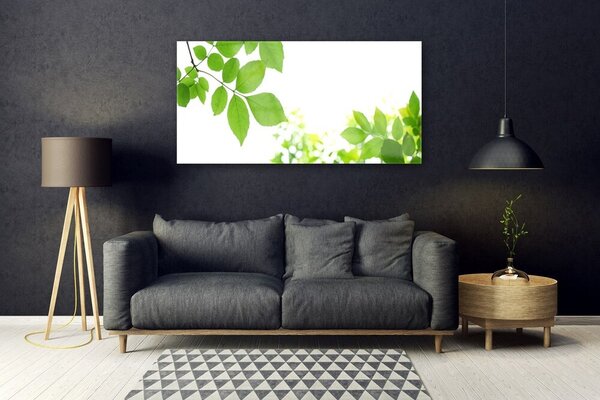 Tablou pe sticla Petale Floral Alb Verde