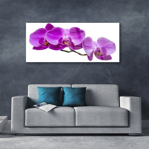 Tablou pe sticla Flori roz Floral