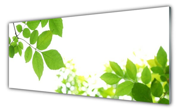 Tablou pe sticla Petale Floral Alb Verde