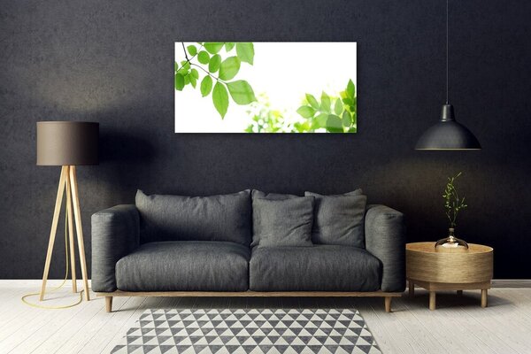 Tablou pe sticla Petale Floral Alb Verde