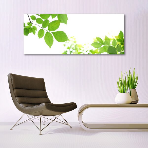 Tablou pe sticla Petale Floral Alb Verde