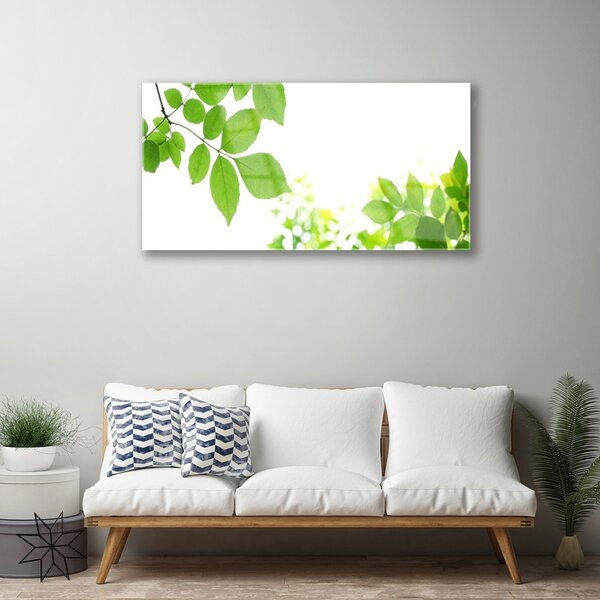 Tablou pe sticla Petale Floral Alb Verde