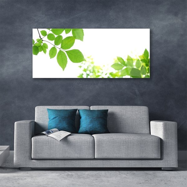Tablou pe sticla Petale Floral Alb Verde