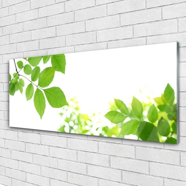 Tablou pe sticla Petale Floral Alb Verde