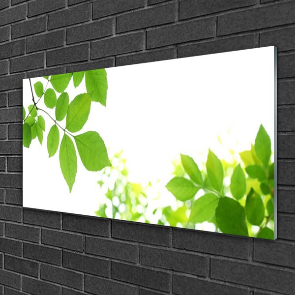 Tablou pe sticla Petale Floral Alb Verde