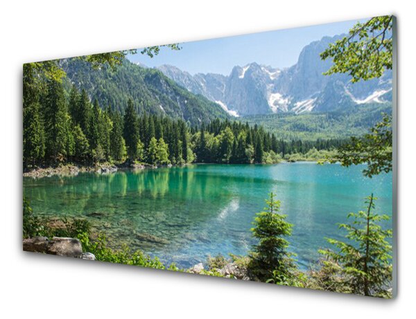 Panou sticla bucatarie Munții Seewald Natura Gri Verde Albastru