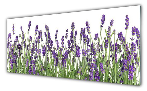 Tablou pe sticla Flori Floral violet