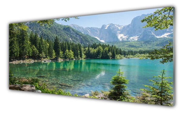 Panou sticla bucatarie Munții Seewald Natura Gri Verde Albastru