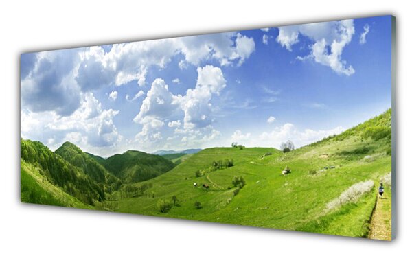 Tablou pe sticla Mountain Meadow Natura verde