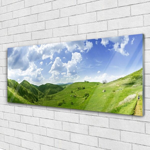 Tablou pe sticla Mountain Meadow Natura verde