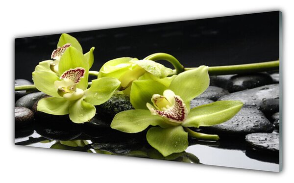 Tablouri acrilice Pietre florale flori verde negru
