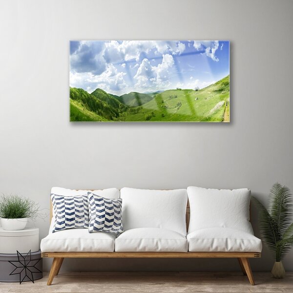 Tablou pe sticla Mountain Meadow Natura verde