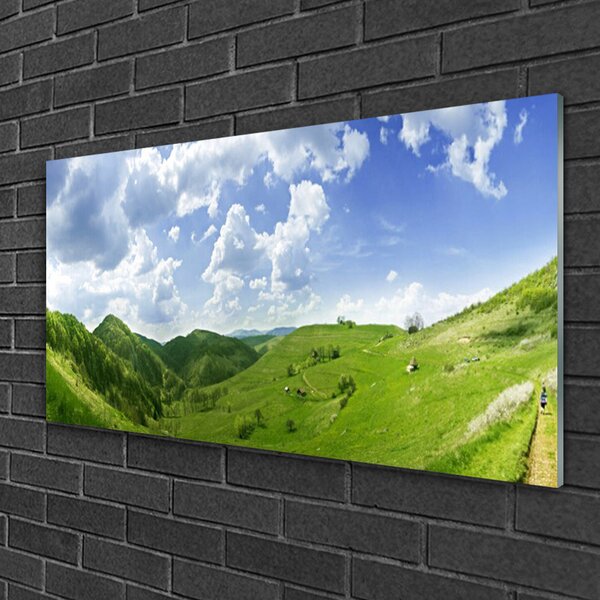 Tablou pe sticla Mountain Meadow Natura verde