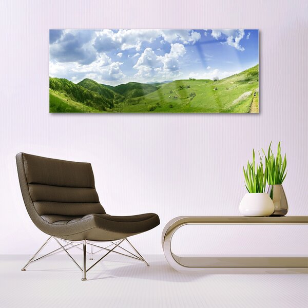 Tablou pe sticla Mountain Meadow Natura verde