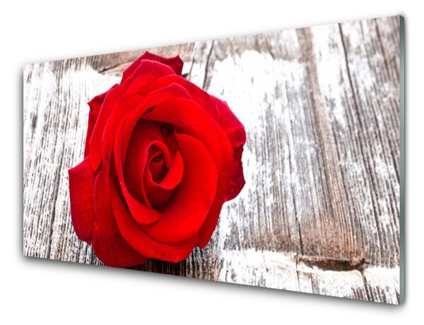 Panou sticla bucatarie Rose Floral Red