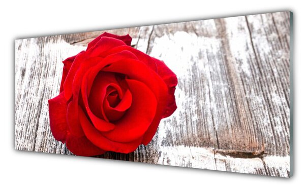 Panou sticla bucatarie Rose Floral Red