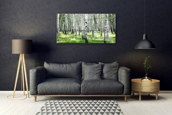 Tablou pe sticla Natural Pădurea Neagră Alb Verde