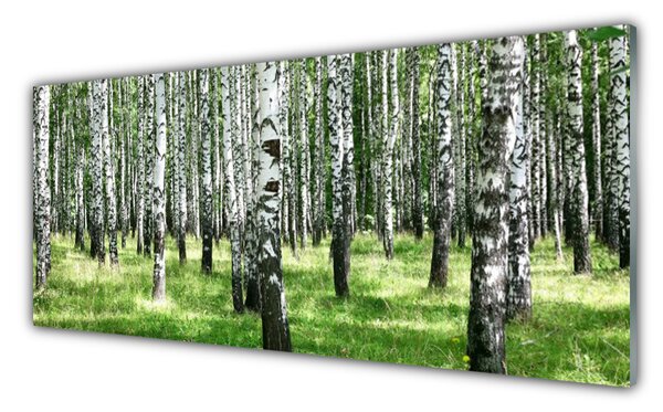 Tablou pe sticla Natural Pădurea Neagră Alb Verde