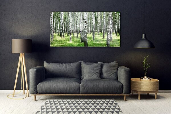 Tablou pe sticla Natural Pădurea Neagră Alb Verde