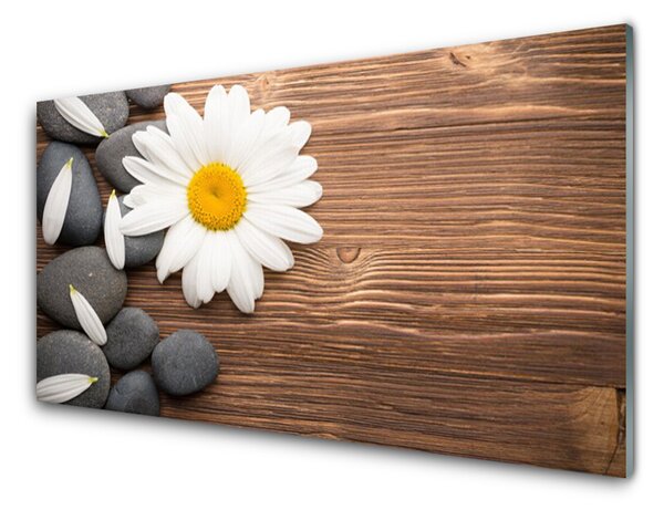 Panou sticla bucatarie Daisy pietre Floral Galben Alb Gri