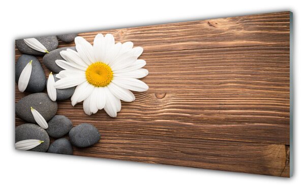Panou sticla bucatarie Daisy pietre Floral Galben Alb Gri