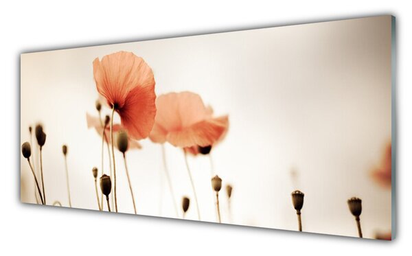Tablou pe sticla Maci Floral Red