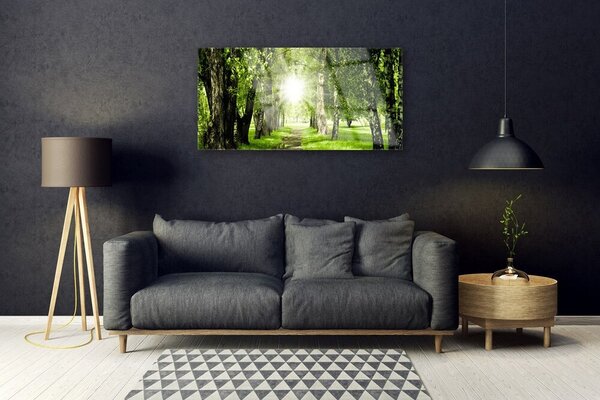 Tablouri acrilice Forest Soare Potecă Natura Brun Verde Galben
