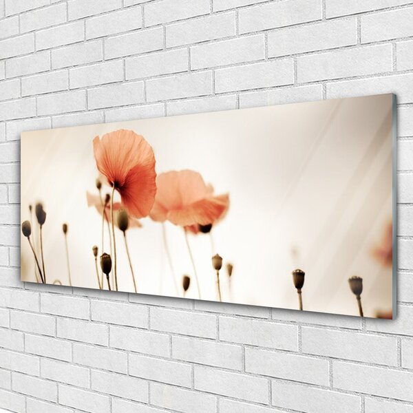 Tablou pe sticla Maci Floral Red