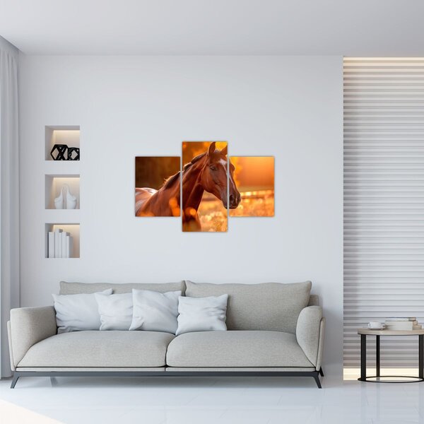Tablou - Cal în apus de soare (90x60 cm)