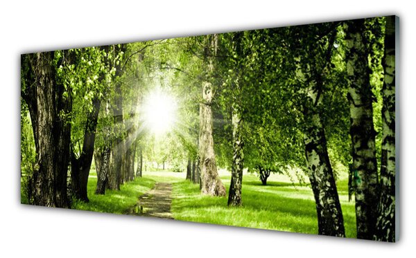 Tablouri acrilice Forest Soare Potecă Natura Brun Verde Galben