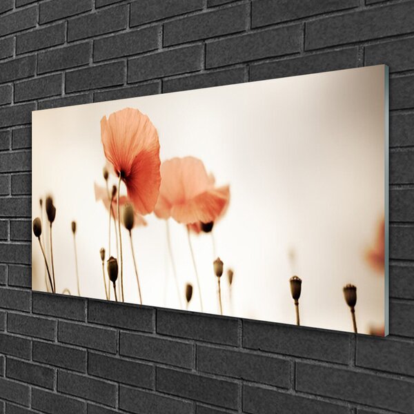 Tablou pe sticla Maci Floral Red