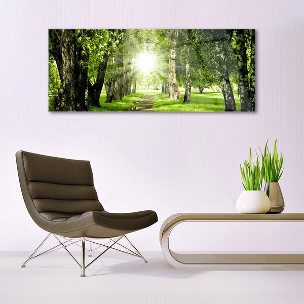 Tablouri acrilice Forest Soare Potecă Natura Brun Verde Galben