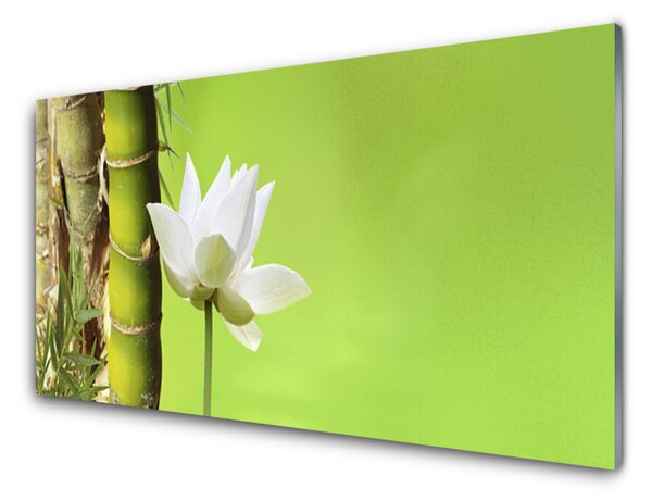 Tablou pe sticla Bamboo peduncul Floral Verde Alb
