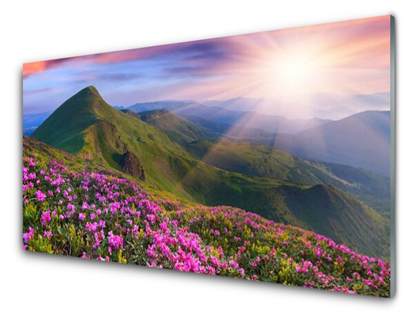 Panou sticla bucatarie Muntii Meadow Flori Peisaj Albastru Verde Roz