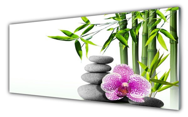 Tablou pe sticla Bambus Cane flori Stones Floral Verde Roz Gri
