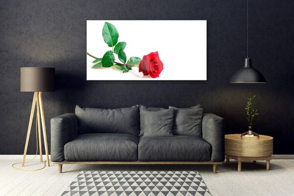 Tablou pe sticla Rose Floral Red