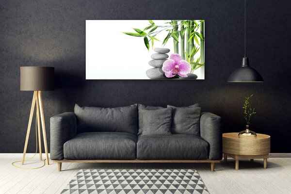 Tablou pe sticla Bambus Cane flori Stones Floral Verde Roz Gri