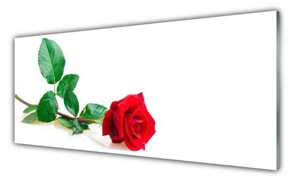 Tablou pe sticla Rose Floral Red