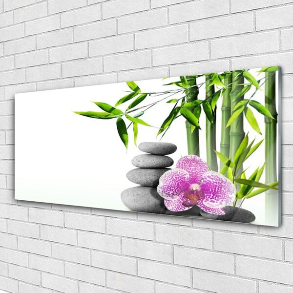 Tablou pe sticla Bambus Cane flori Stones Floral Verde Roz Gri