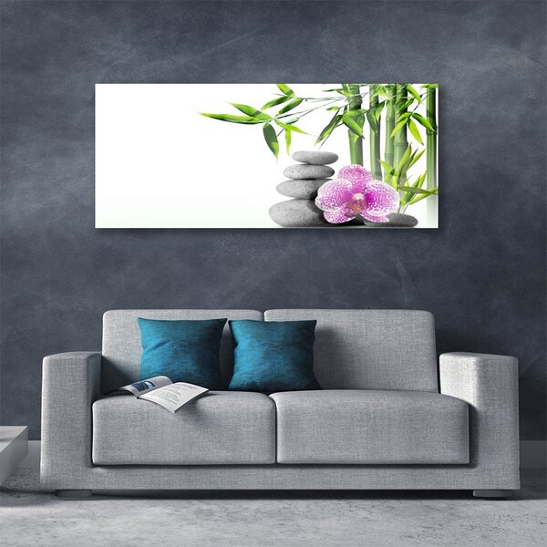 Tablou pe sticla Bambus Cane flori Stones Floral Verde Roz Gri