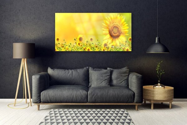 Tablou pe sticla Floarea soarelui Floral Galben Maro
