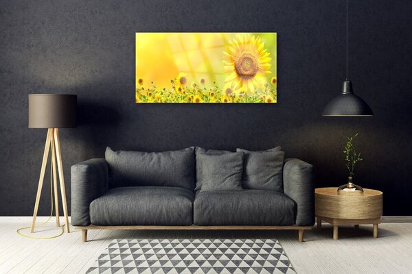 Tablou pe sticla Floarea soarelui Floral Galben Maro