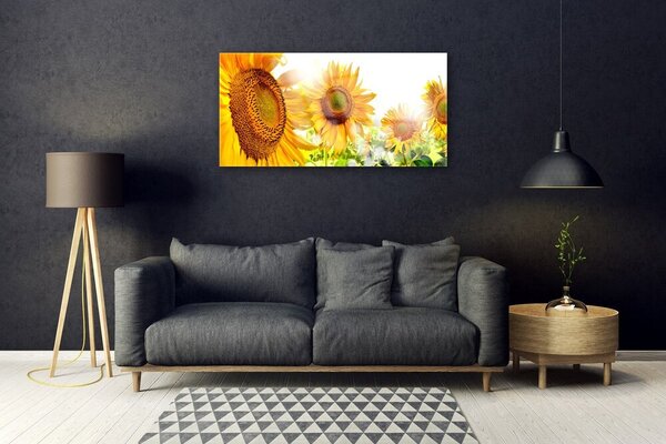 Tablou pe sticla Floarea soarelui Floral Galben Maro