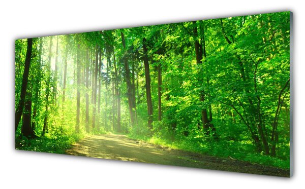 Panou sticla bucatarie Natural Pădurea Verde Maro
