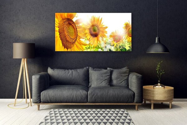 Tablou pe sticla Floarea soarelui Floral Galben Maro