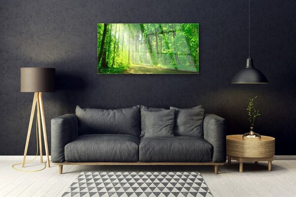 Tablou pe sticla Natural Pădurea Verde Maro